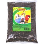 AVICENTRA slunečnice černá 500 g – Zboží Dáma