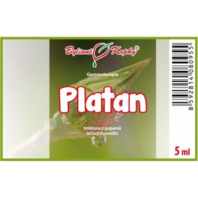 Bylinné kapky Gemmoterapie Platan pupeny tinktura z pupenů 5 ml – Hledejceny.cz