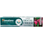 Himalaya Herbals zubní pasta s přírodním fluorem 100 g – Hledejceny.cz