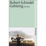 Gebrtig Schindel RobertPaperback – Hledejceny.cz
