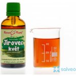 Bylinné kapky Jírovec květ tinktura 50 ml – Hledejceny.cz