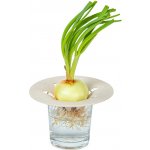 Plastia Miska na Avokádo Cibuli slonová kost 16cm – Hledejceny.cz