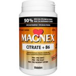 Magnex Citrate 375mg+B6 100 chew tablet – Hledejceny.cz