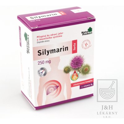 Silymarin Forte 250 mg + vitamin D 40 tablet