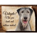 Sport hobby Cedulka Irský vlkodav II Vstupte CP501 20 x 15 cm – Hledejceny.cz