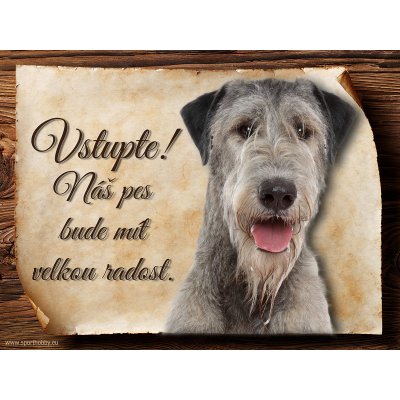 Sport hobby Cedulka Irský vlkodav II Vstupte CP501 20 x 15 cm – Hledejceny.cz