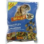 Dingo suchary na čištění zubů 500 g – Zbozi.Blesk.cz