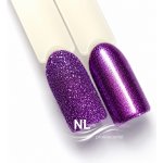 NL nails professional GLITTER POWDER – Hledejceny.cz