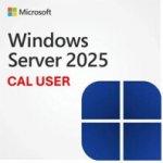 Dell Windows Server 2025/2022 OEM 634-CVFH – Zboží Mobilmania