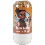 ALBI I Ty můžeš být Umělec kreativní set zdobení kamínků povolání – Hledejceny.cz