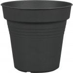 květ. d32cm CAMELIE ANTRACIT – Hledejceny.cz
