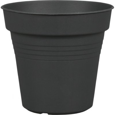 květ. d32cm CAMELIE ANTRACIT – Hledejceny.cz