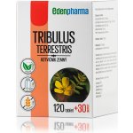 EDENPharma Tribulus Terrestris 120+30 tablet – Hledejceny.cz