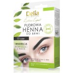 Delia Cosmetics Henna pudrová na obočí black 1,0 4 g – Zboží Dáma