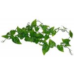 Lucky Reptile Jungle Vine Gape Leaf Vine 200 cm FP-64573 – Hledejceny.cz