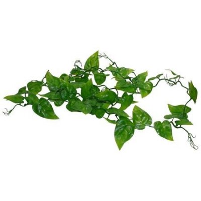 Lucky Reptile Jungle Vine Gape Leaf Vine 200 cm FP-64573 – Zboží Mobilmania