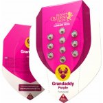 Royal Queen Seeds Granddaddy Purple semena neobsahují THC 1 ks – Zboží Dáma