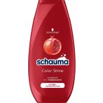 Schauma Color šampon pro lesk barvy 250 ml – Zboží Mobilmania