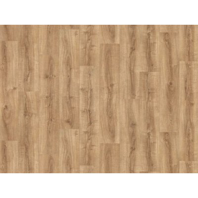 IVC Belgium Greenline New 2021 Rioja 532 2 m 1 m² – Sleviste.cz