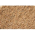 PROFIZOO Pšenice 4 kg – Zboží Dáma