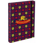 Baagl A4 Harry Potter Nebelvír 29x43 cm A-32011 – Hledejceny.cz