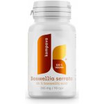 Kompava Boswellia serrata 305mg 90 kapslí – Hledejceny.cz