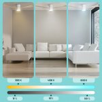 Noaton 15132WL – Zboží Dáma