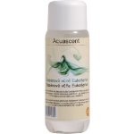 CHEMOFORM Eukalyptus 250 ml – HobbyKompas.cz