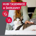 Frontcontrol Wormer pro kočky 4 kg 2 tablety – Zboží Mobilmania