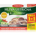 Terezia Company Hlíva ústřičná s lactobacily 120 tablet – Hledejceny.cz