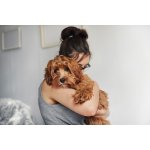 Frontpro 4 - 10 kg 28,3 mg 3 žvýkací tablety – Zboží Mobilmania