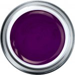 Ruscona UV/LED gel CRAZY LILA 170 5 ml – Zboží Dáma Ruscona UV/LED gel CRAZY LILA 170 5 ml – Zboží Dáma