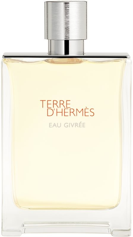 Hermès terre d’Hermès Eau Givrée parfémovaná voda pánská 175 ml