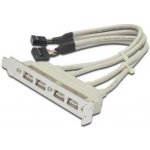 Digitus záslepka slotu s 4 USB porty, kabel 2x 10 Pin 0,25m AK-300304-002-E – Zboží Živě