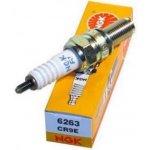 Zapalovací svíčka NGK Standard Kawasaki ZX600 P7F-P8F, R9F-RCF (Ninja ZX-6R) 07 - – Zboží Mobilmania