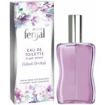 Fenjal Miss Fenjal Velvet Orchid Miss Fenjal Velvet Orchid toaletní voda dámská 50 ml – Zbozi.Blesk.cz