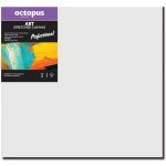 Octopus Professional malířské plátno 350 g 50 x 50 cm – Zboží Dáma