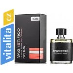 Magnetifico Pheromone Allure pro muže 50ml – Zboží Dáma