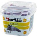 Krmivo pro kočky Ontario Snack Anti Hairball Bits 75 g