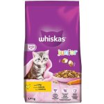 Whiskas Junior s kuřecím masem 1,4 kg – Hledejceny.cz