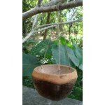 Mitra Bali Závěsné kokosové krmítko z Bali, 19 cm – Zboží Dáma