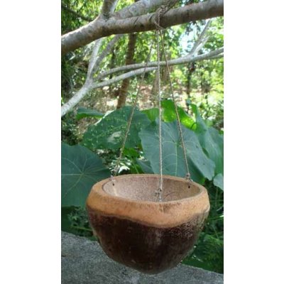 Mitra Bali Závěsné kokosové krmítko z Bali, 19 cm – Zboží Dáma
