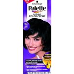 Pallete Intensive Color Creme černá N1 – Zboží Dáma