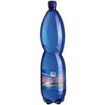 Magnesia neperlivá 6 x 1,5 l – Sleviste.cz