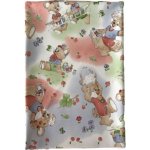 Karton P+P Ubrus do výtvarné výchovy 65x50cm myšky – Zboží Dáma