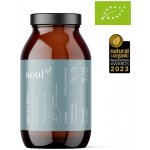 Soulel Biota Bio prášek pro podporu zažívání s obsahem prebiotik a fermentů 200 g – Hledejceny.cz