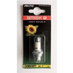 Zapalovací svíčka BRISK PR17YC | Zboží Auto