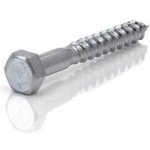 Šrouby do dřeva WT WINTECH a.s. 1 x 1 mm 1 ks – Hledejceny.cz