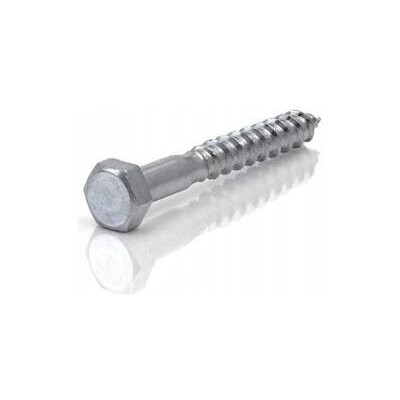 Šrouby do dřeva WT WINTECH a.s. 1 x 1 mm 1 ks – Hledejceny.cz