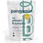 Pangamin přírodní B komplex tablet 120 – Hledejceny.cz